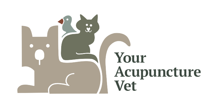 Your Acupuncture Vet